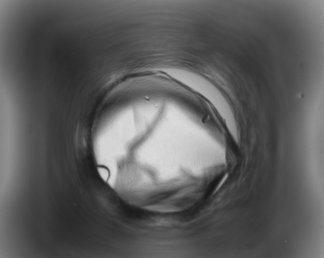 X0000086290115200704201930
