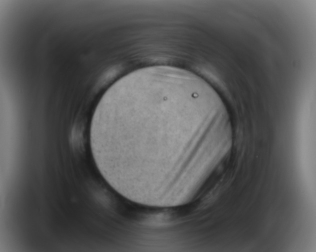 X0000086290116200704201930