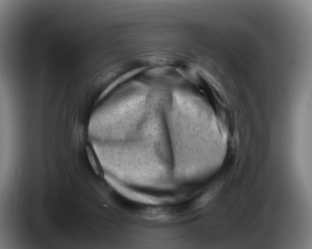 X0000086290117200704201930