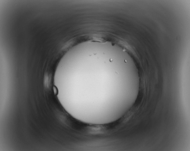 X0000086290118200704201930