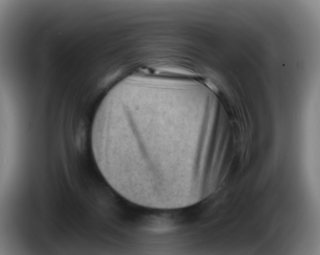 X0000086290120200704201930