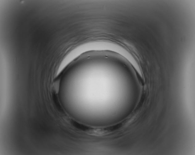 X0000086290121200704201930