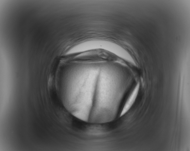 X0000086290123200704201930