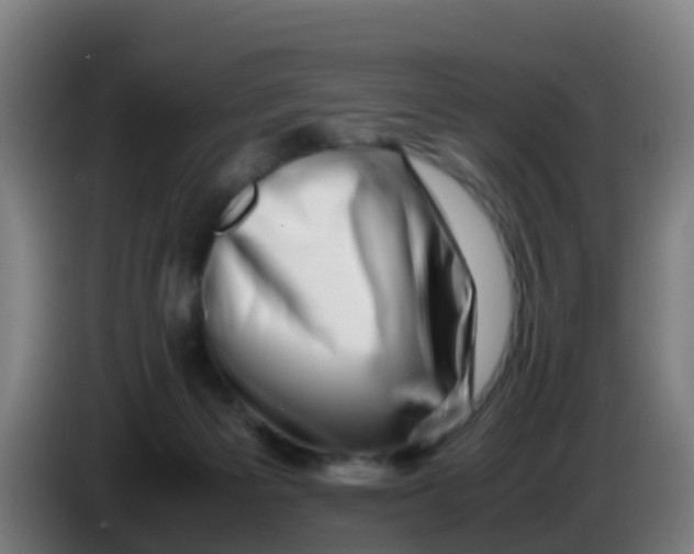 X0000086290125200704201930