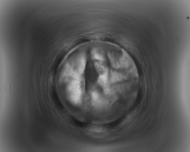 X0000086290127200704201930