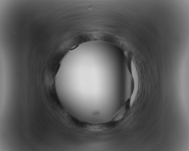 X0000086290129200704201930