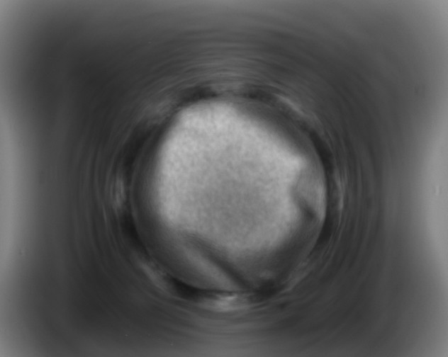 X0000086290130200704201930