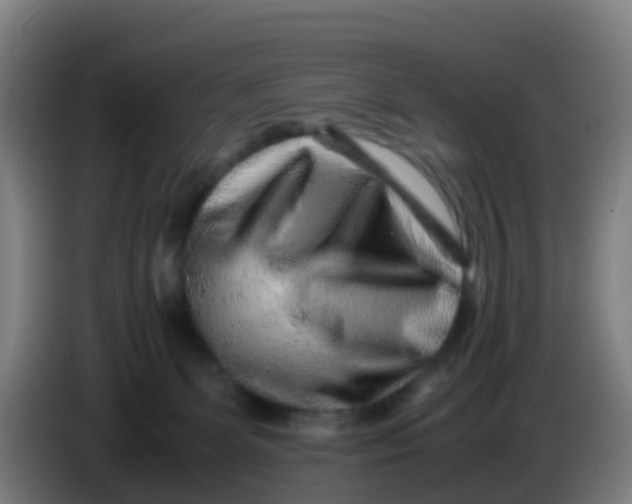 X0000086290131200704201930