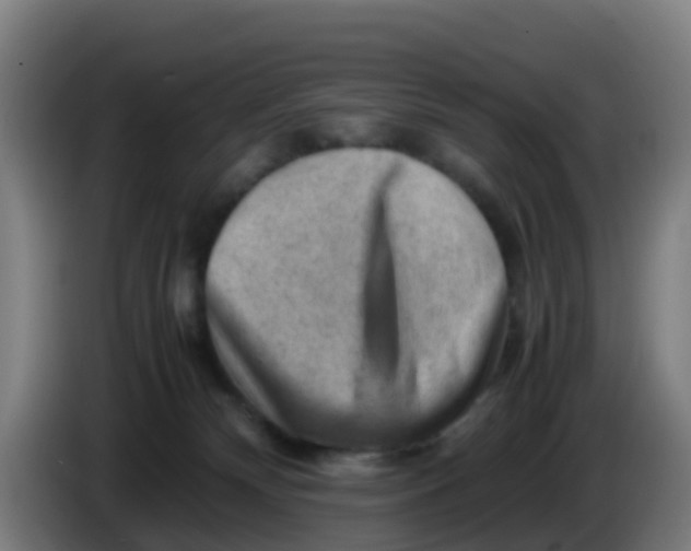 X0000086290132200704201930