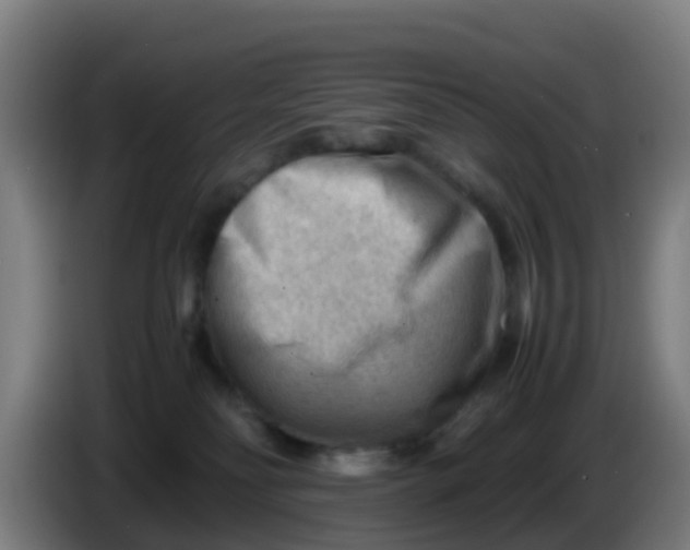 X0000086290134200704201930