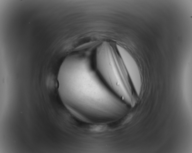 X0000086290135200704201930