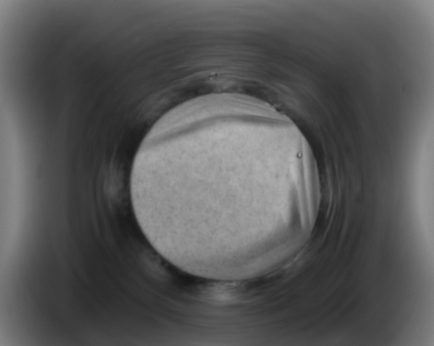 X0000086290136200704201930