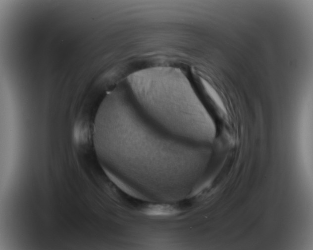 X0000086290137200704201930