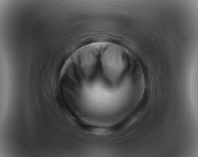 X0000086290139200704201930