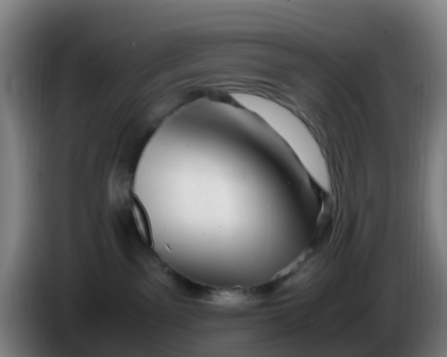 X0000086290141200704201930