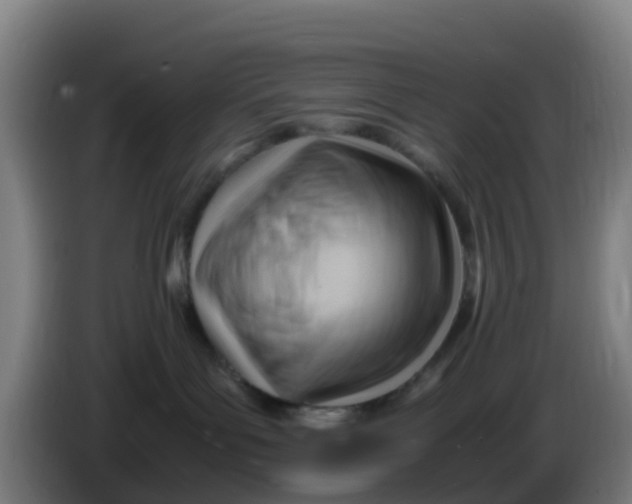 X0000086290143200704201930