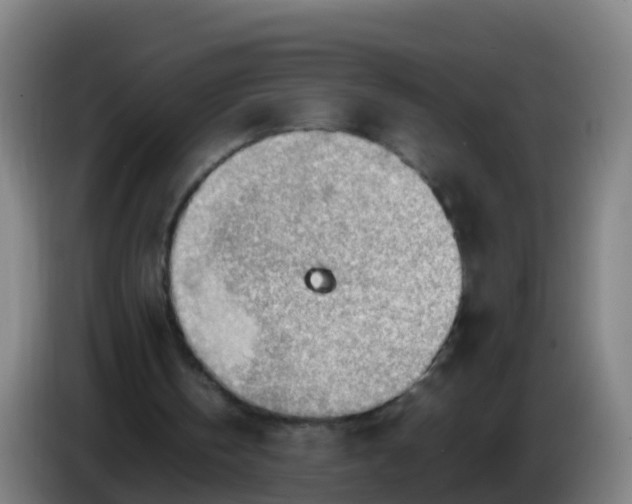 X0000086290146200704201929