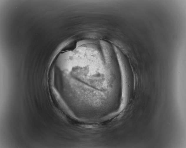 X0000086290147200704201929