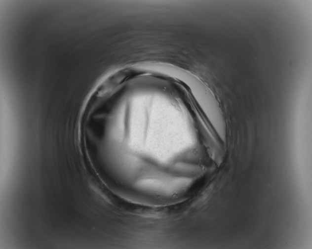 X0000086290148200704201930