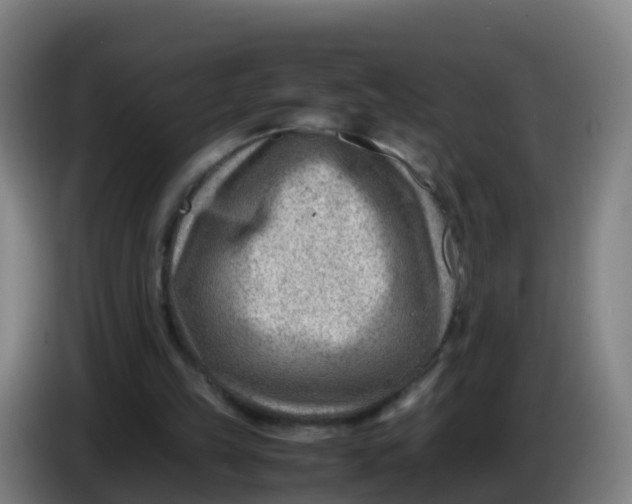 X0000086290149200704201930