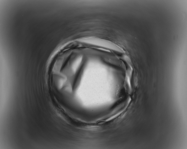 X0000086290150200704201930