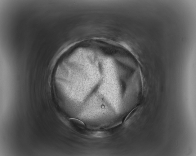 X0000086290151200704201930