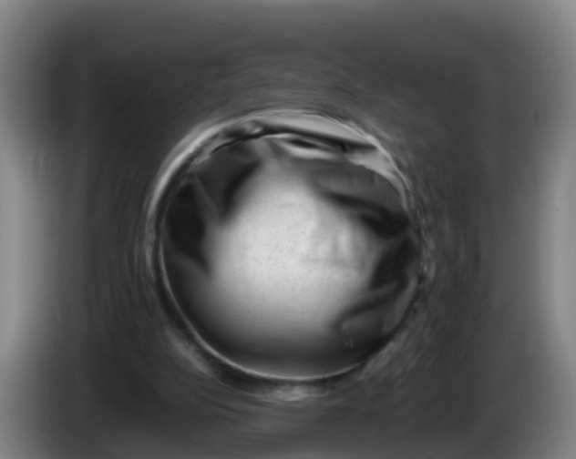 X0000086290152200704201930