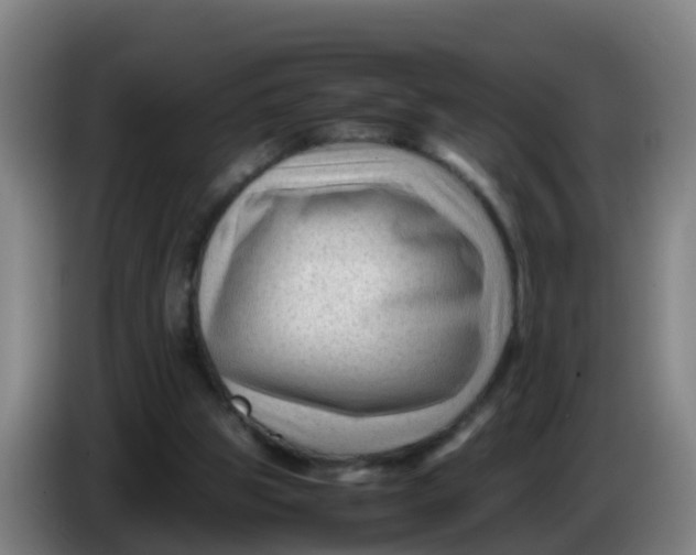 X0000086290153200704201930