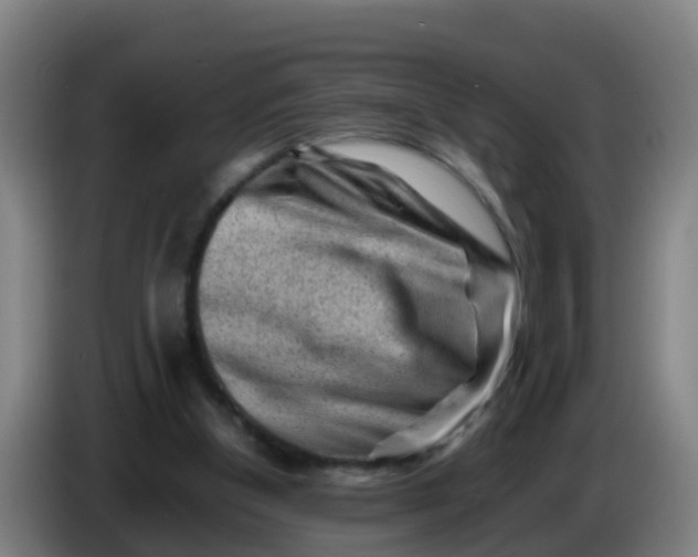 X0000086290154200704201930