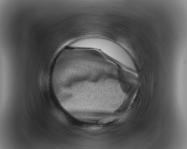X0000086290156200704201930