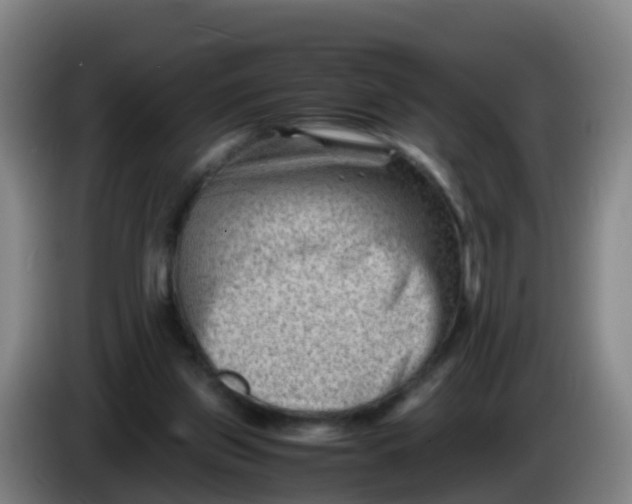 X0000086290157200704201930