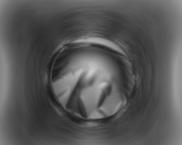 X0000086290158200704201930