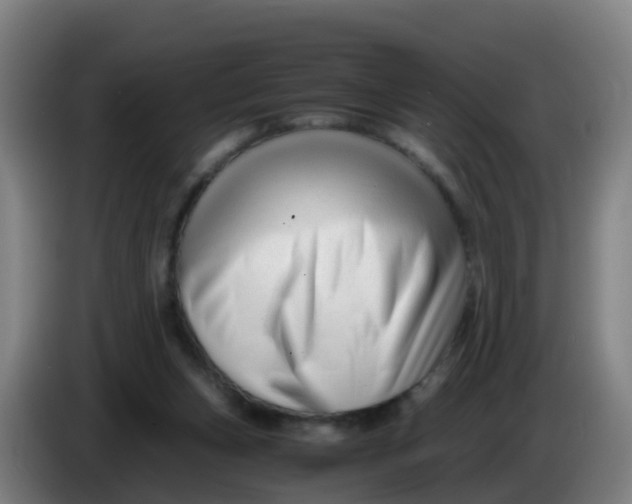 X0000086290159200704201930