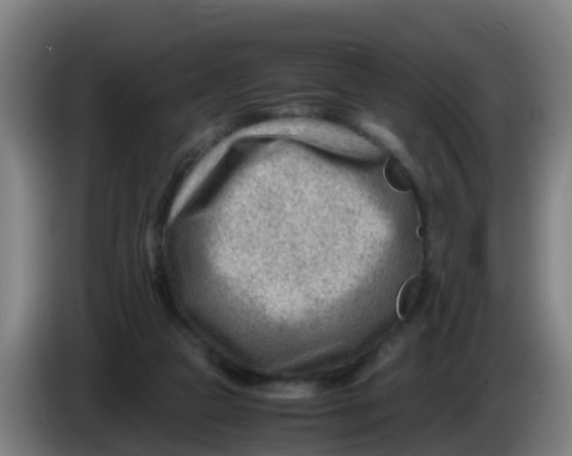 X0000086290161200704201930