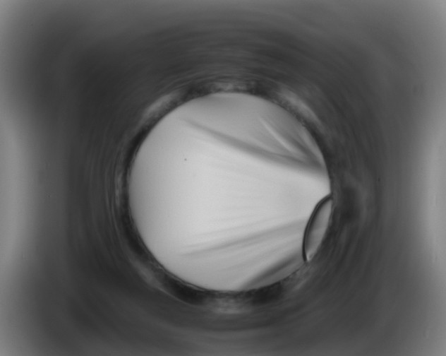 X0000086290163200704201930