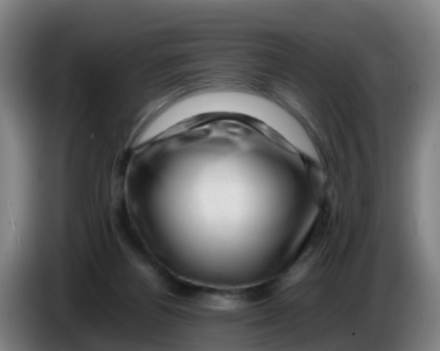 X0000086290164200704201930