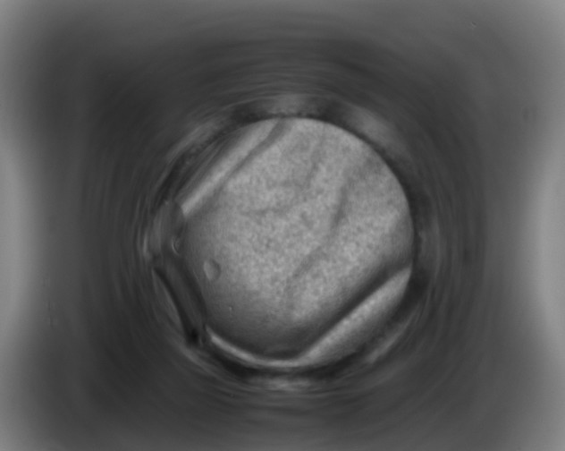 X0000086290165200704201930