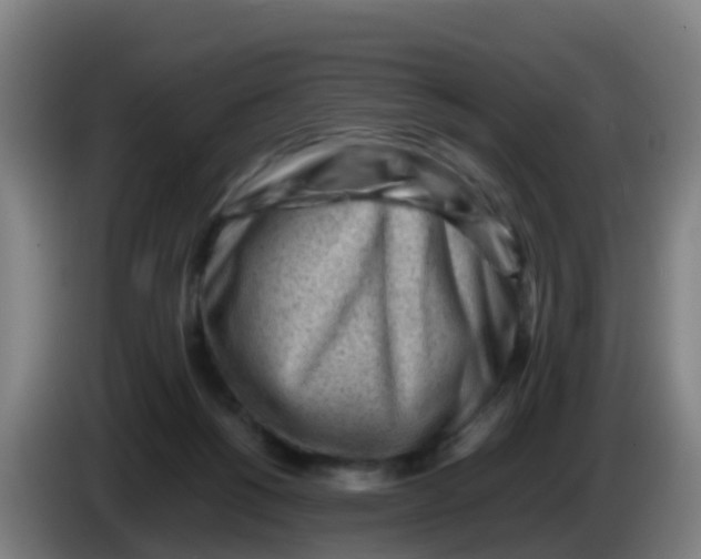 X0000086290168200704201930