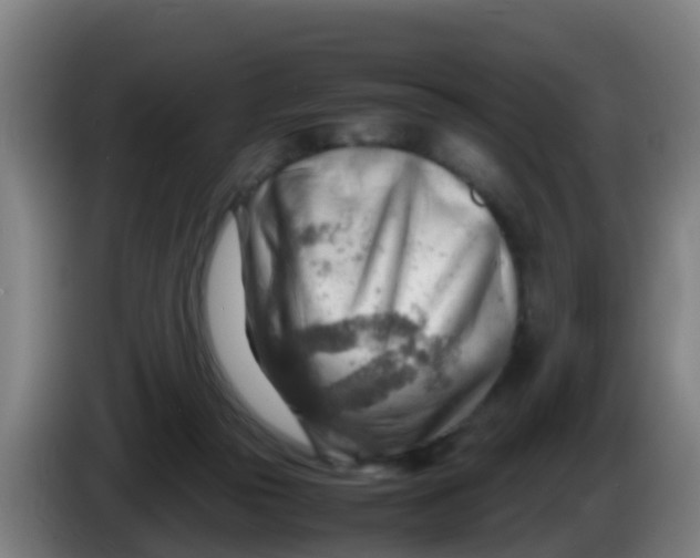 X0000086290169200704201930