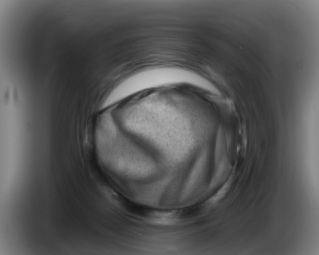 X0000086290170200704201930