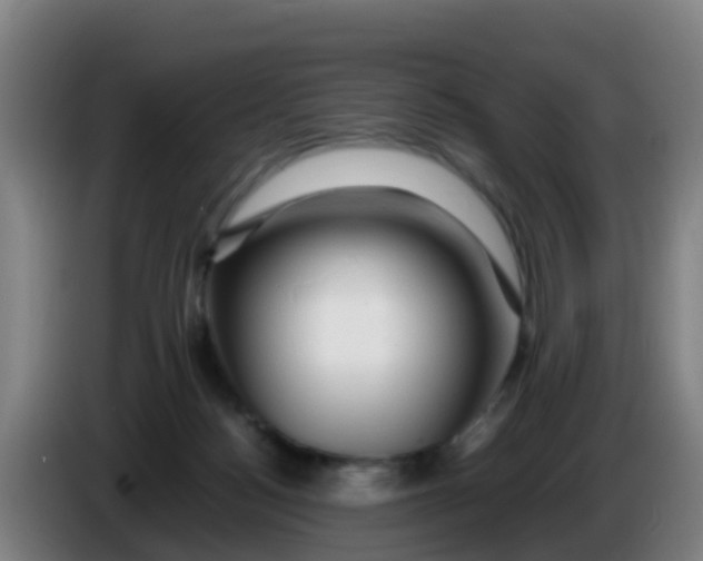 X0000086290172200704201930