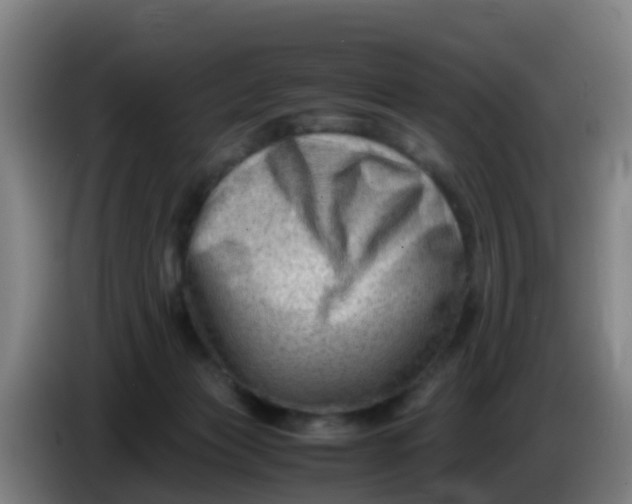 X0000086290173200704201930