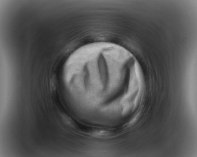 X0000086290174200704201930