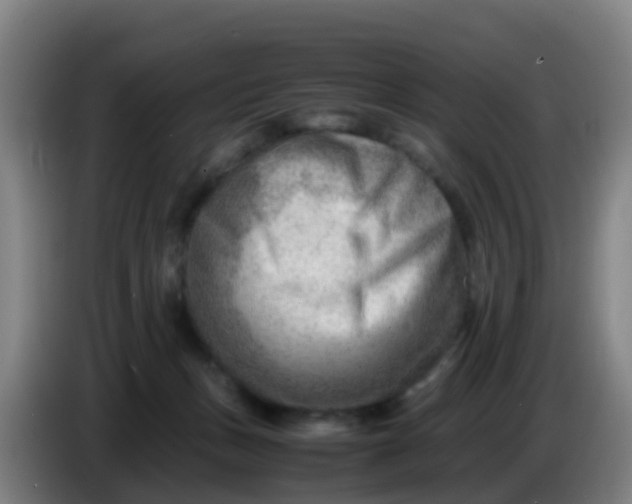 X0000086290175200704201930