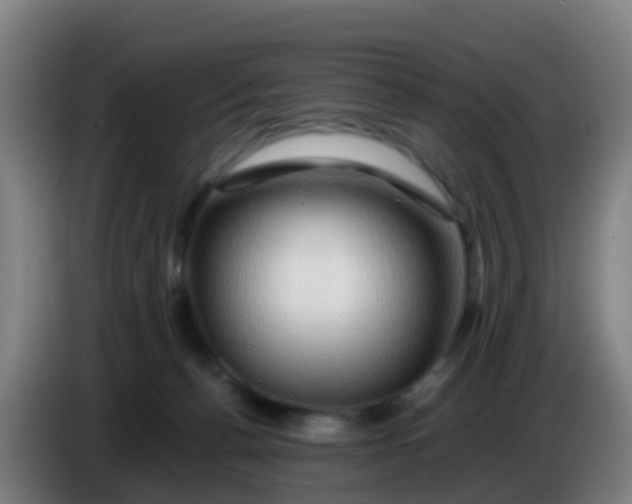 X0000086290176200704201930