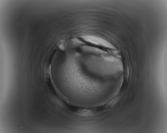 X0000086290180200704201930