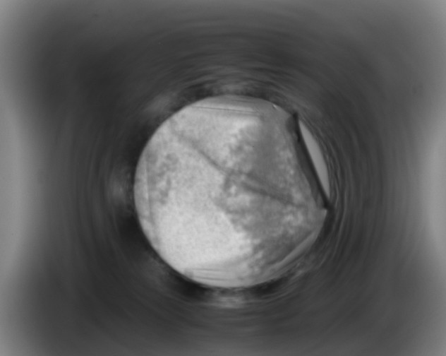 X0000086290181200704201930