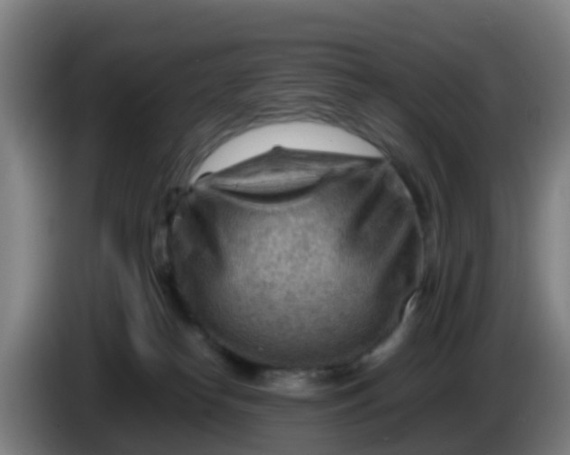 X0000086290182200704201930