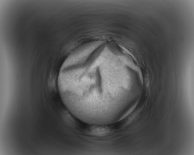 X0000086290185200704201930