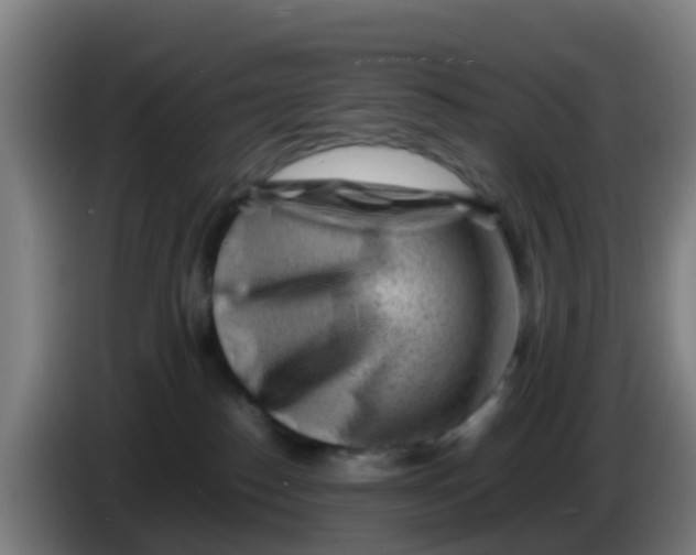 X0000086290186200704201930